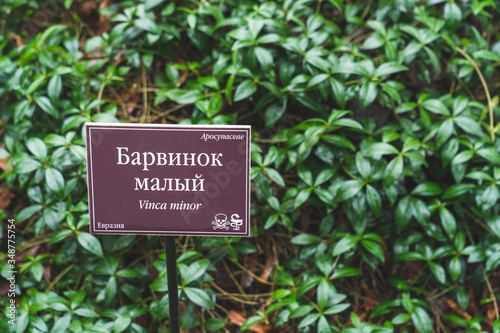Russia, Moscow, March 8, 2020, Apothecary garden, Botanical garden at the Moscow state Institute