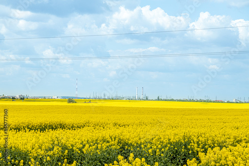 Power trasission high voltage lines over the agricultural rapeseed field landscape.