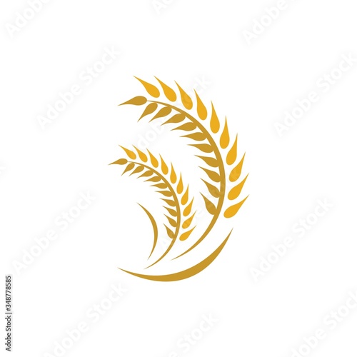 Wheat logo vector icon