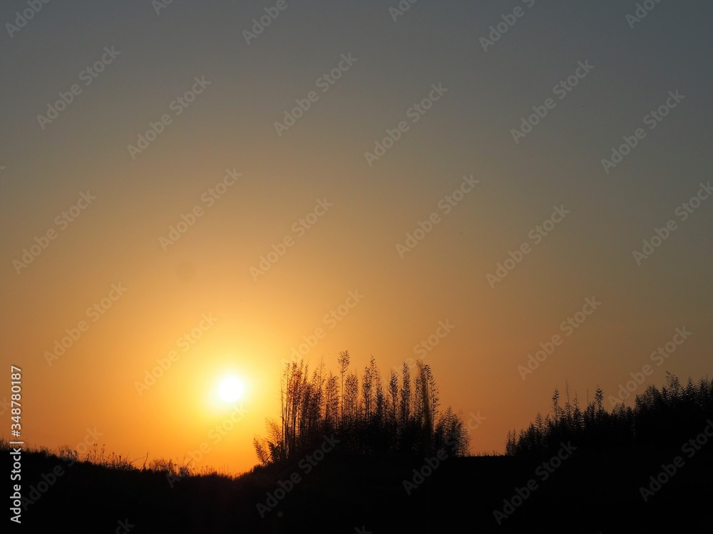 沈む太陽と夕日に映し出される木々のシルエット