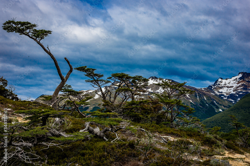 Ushuaia Landscapes