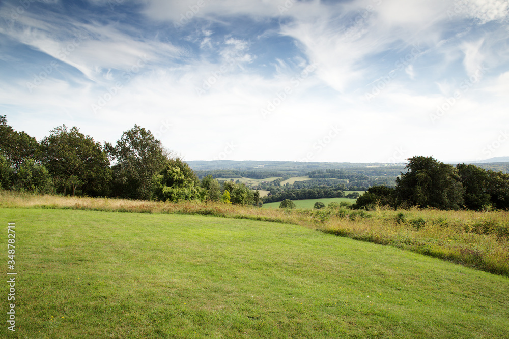 trees in  field in the countryside of UK