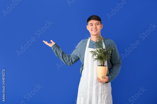 Portrait of Asian male flor...