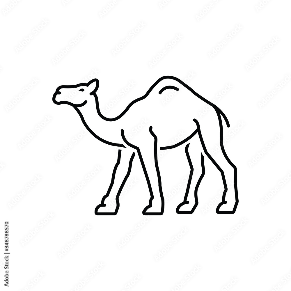 Black line icon for camel Black line icon for camel