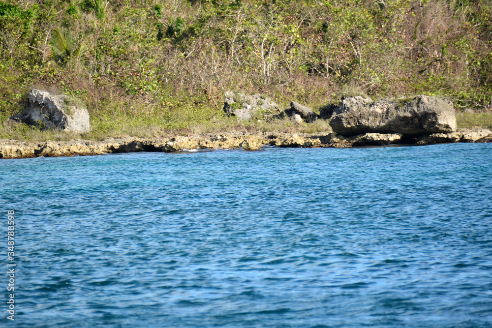 rocks on the shore, with foliage and sea water rocks on the shore, with foliage and sea water