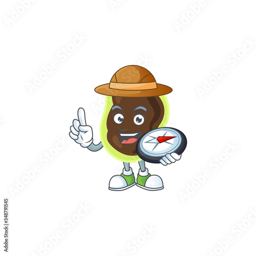 Experience explorer of firmicutes cartoon character style using compass