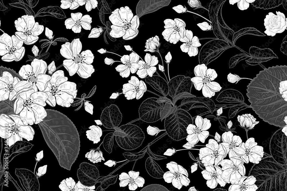 Fototapeta Floral vintage seamless pattern with Japanese cherry. Black and white.