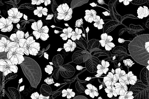 Floral vintage seamless pattern with Japanese cherry. Black and white.