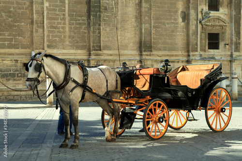 Horse and carriage in Seville