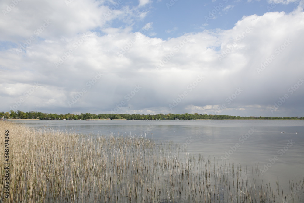 Jezioro Miedwie Linia brzegowa