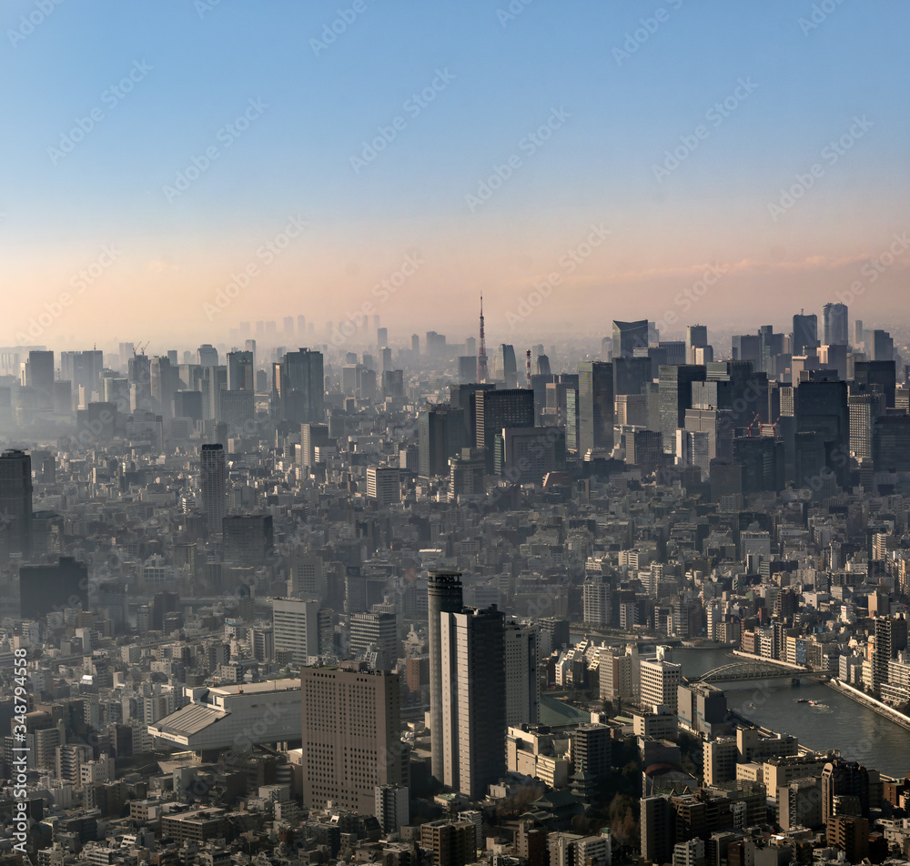 Obraz premium Tokyo by the sky