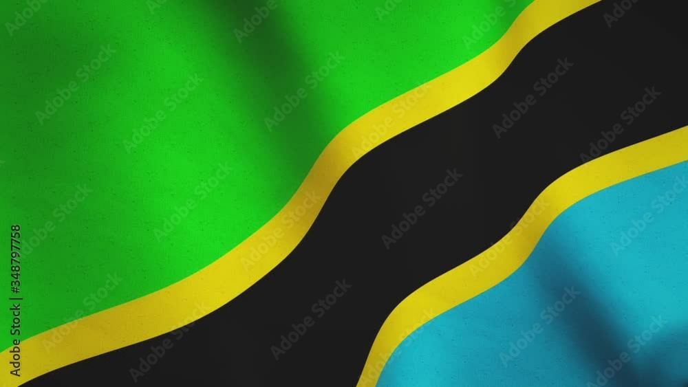 Tanzania waving flag background full screen - seamless loop video animation Tanzania waving flag background full screen - seamless loop video animation