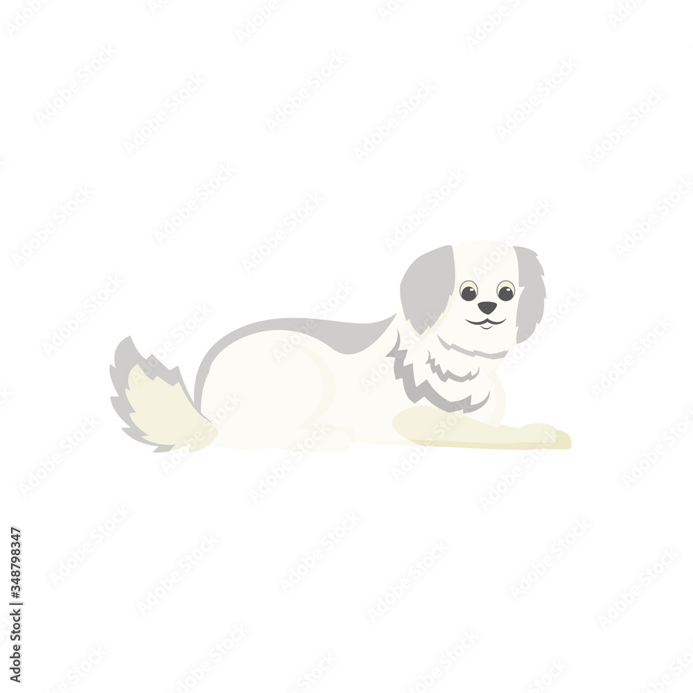 White terrier flat color vector character. Domestic animal for adoption. Pet sitting and daycare. Dog beauty salon. Cute puppy isolated cartoon illustration for web graphic design and animation