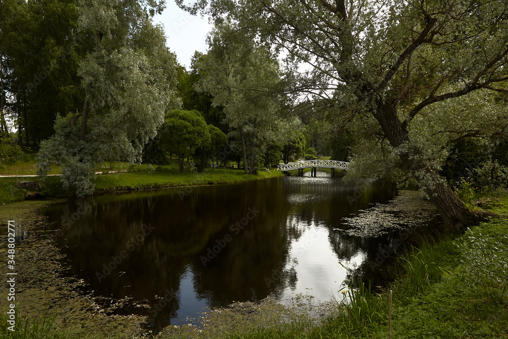 Obraz premium Beautifull pond in Puskin's motherland Mikhailovskoe. Green park with a small lake and white arch bridge. Water reflects trees and sky