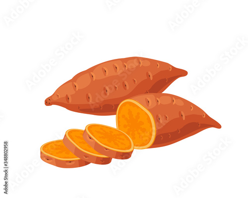 Sweet potato, brown whole tuber and sliced. Vector illustration cartoon flat icon isolated on pink.