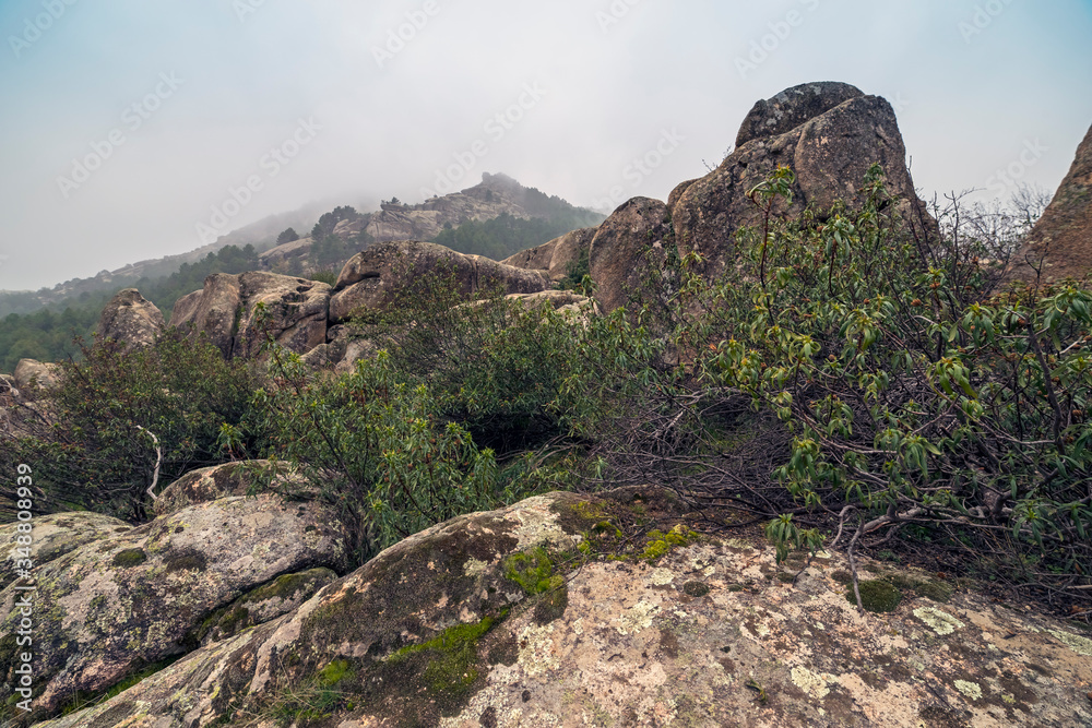 Niebla en la Cuerda de los Porrones en el Parque Regional de la Pedriza. Madrid. España. Europa. Niebla en la Cuerda de los Porrones en el Parque Regional de la Pedriza. Madrid. España. Europa.
