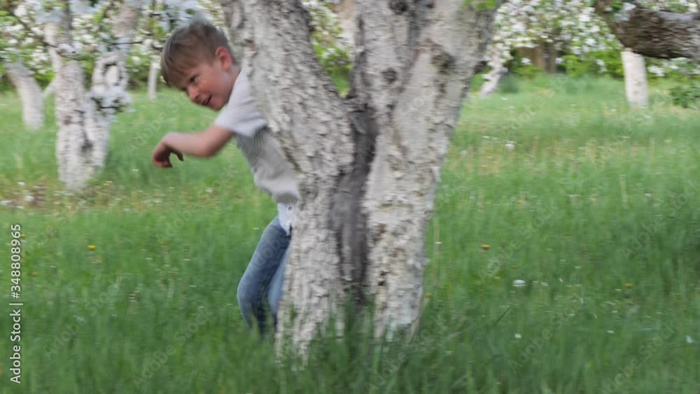 boy on the grass near blooming apple trees in the garden boy on the grass near blooming apple trees in the garden