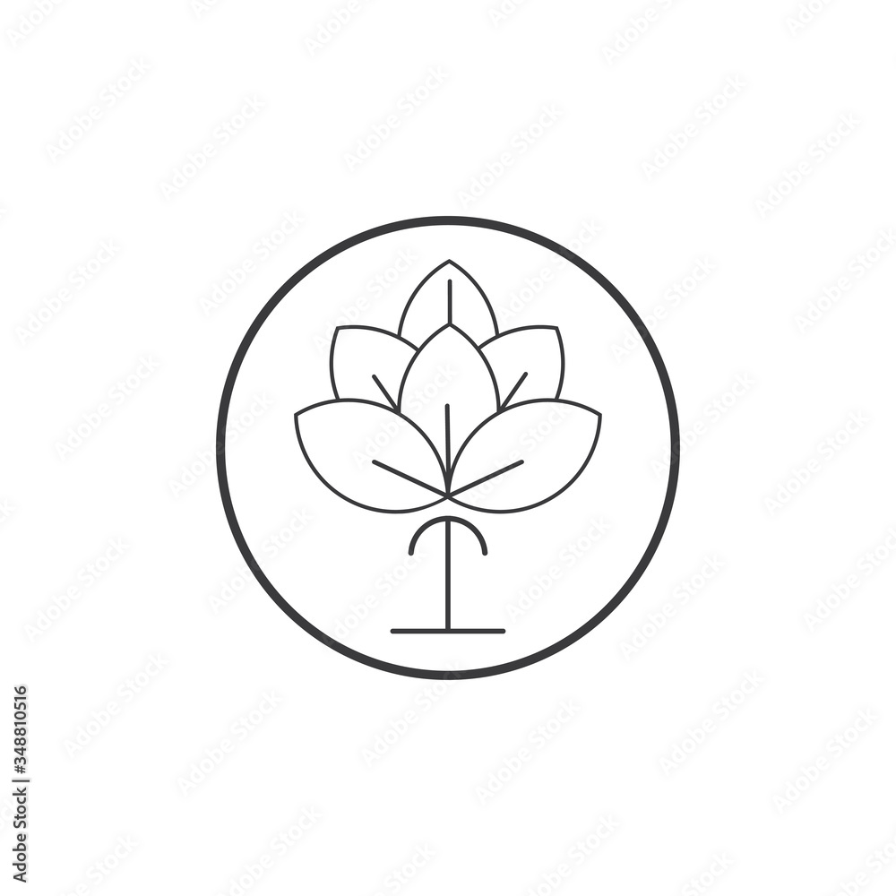 Beauty Cotton flower vector , Simple icon Cotton flower template symbol nature Beauty Cotton flower vector , Simple icon Cotton flower template symbol nature