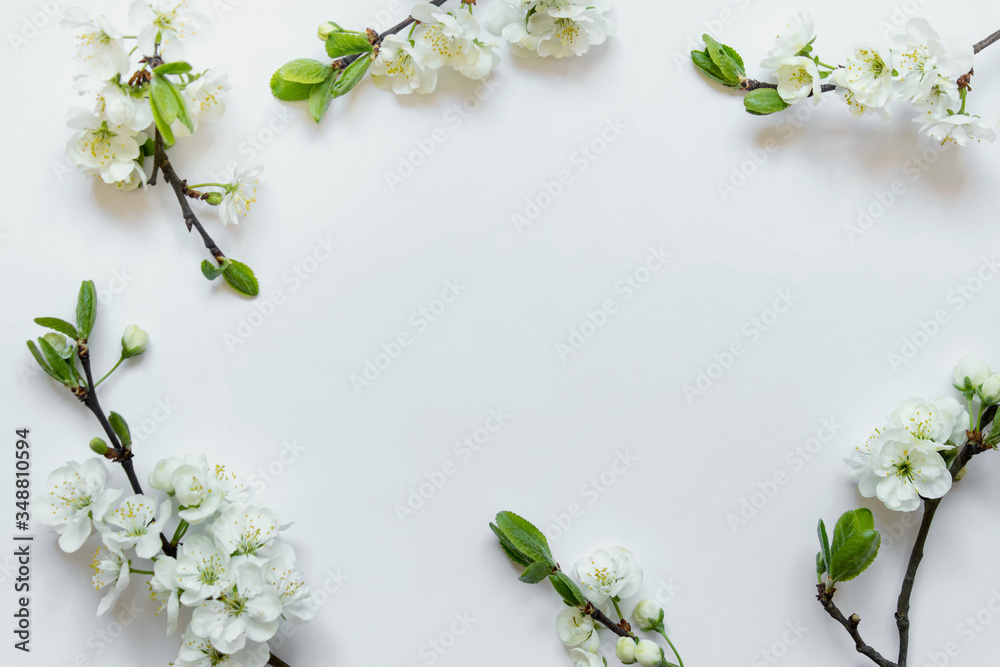 Arrangement of blooming apple tree twigs around the border. Photo with copy blank space in the center. Arrangement of blooming apple tree twigs around the border. Photo with copy blank space in the center.