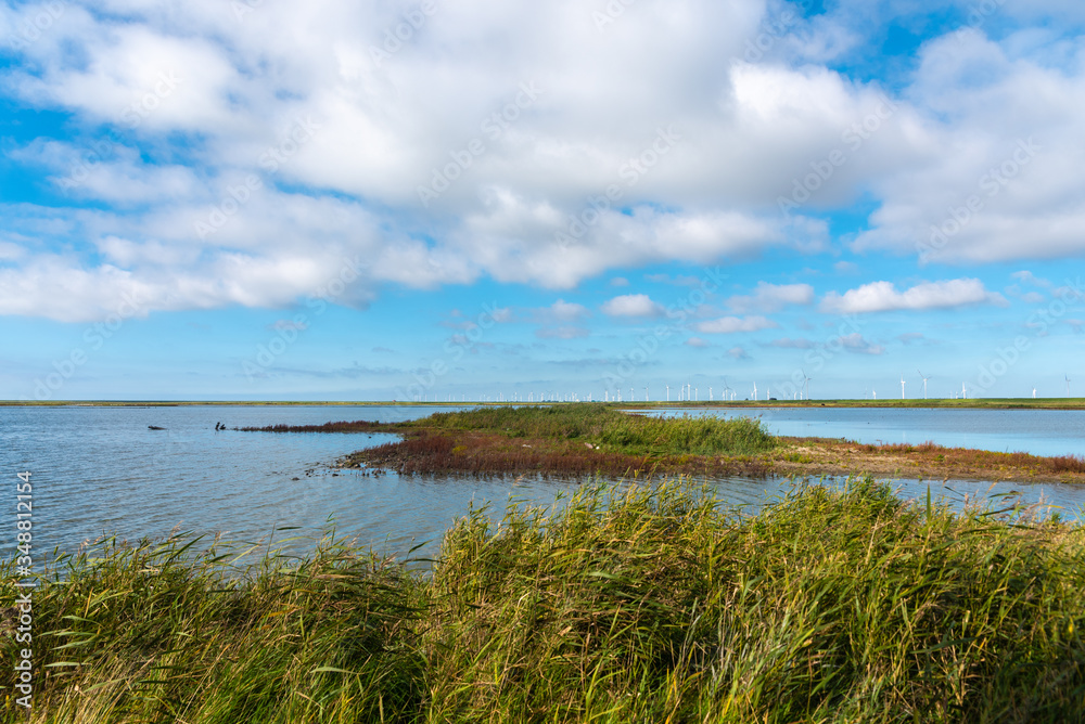 Landscape of the Beltringharder Koog near Luettmoorsiel Landscape of the Beltringharder Koog near Luettmoorsiel