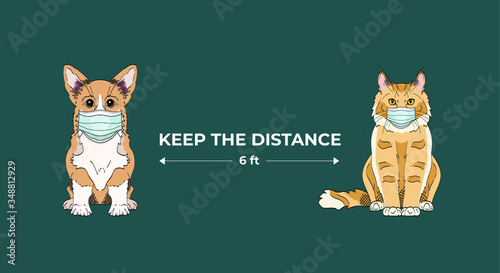 Keep the distance 6 ft. Coronavirus infection spreading prevention information sign for veterinary clinic with pets wearing face medical masks on blue background. Welsh corgi and maine coon 