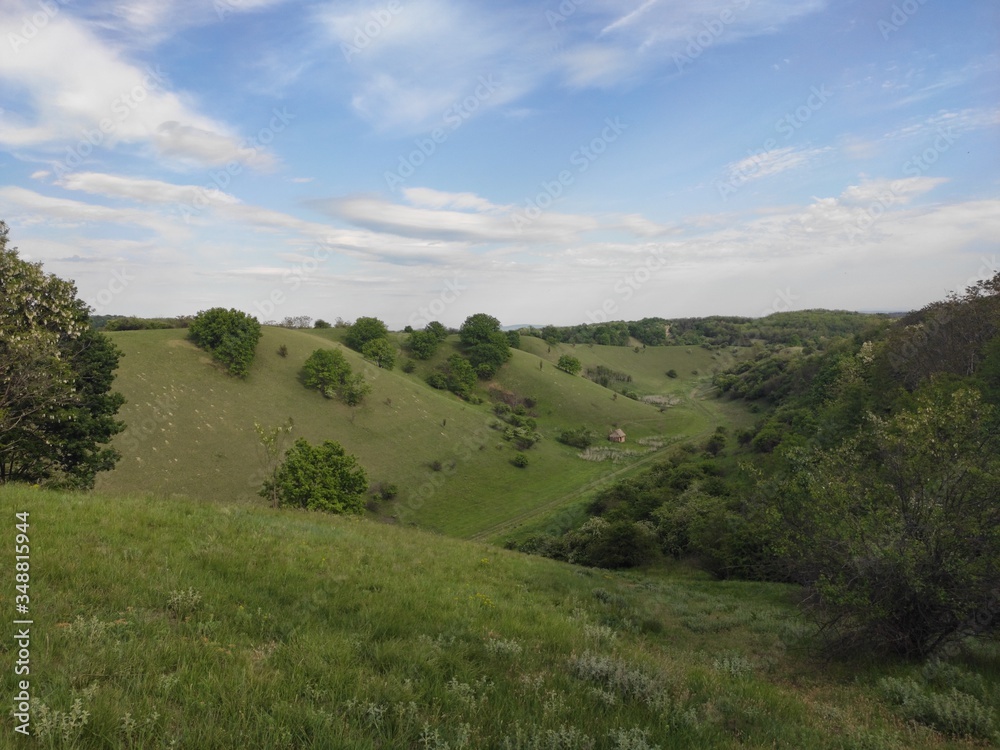 Obraz premium Zagajicka brda Deliblato green desert Serbia landscape