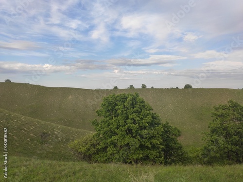 European green desert Deliblato sandy terrain landscape Serbia 