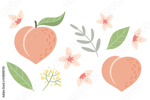 Peach set with leaves and flowers. Vector illustration.