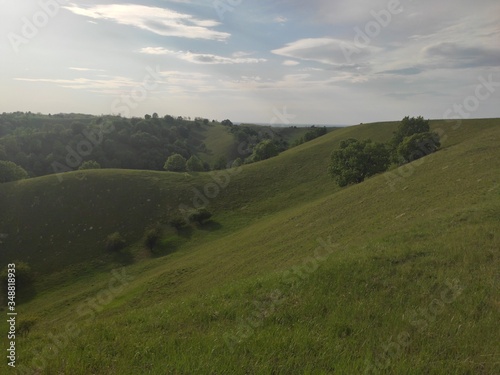 European green desert Deliblato sandy terrain landscape Serbia 