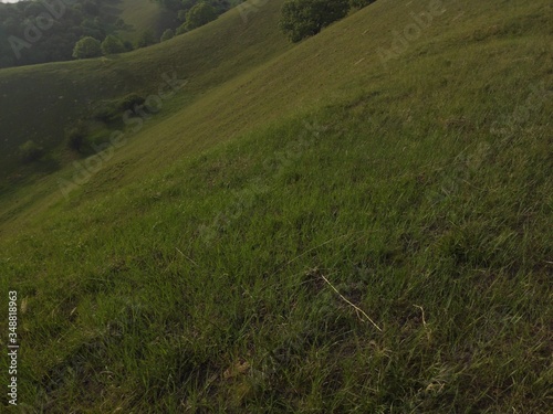 European green desert Deliblato sandy terrain landscape Serbia 
