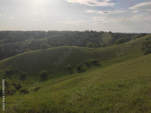 European green desert Deliblato sandy terrain landscape Serbia 