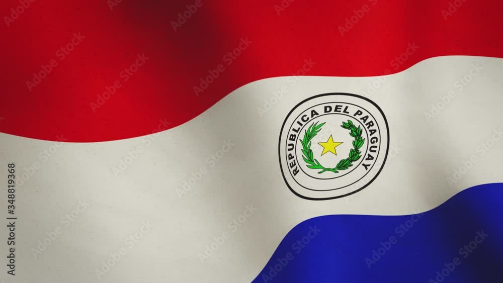 Paraguay waving background flag means freedom and nation - seamless video loop