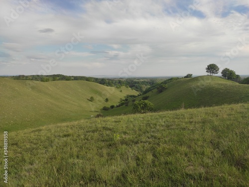 European green desert Deliblato sandy terrain landscape Serbia 