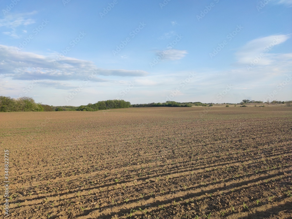 Serbian fertile cropland Banat spring scenery