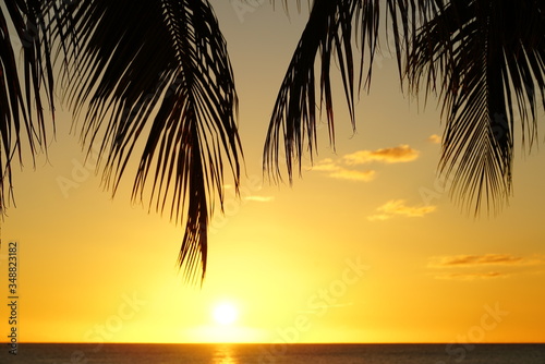 Palm tree silhouette and sea at a tropical beach © Nacho Á Ortiz-Repiso