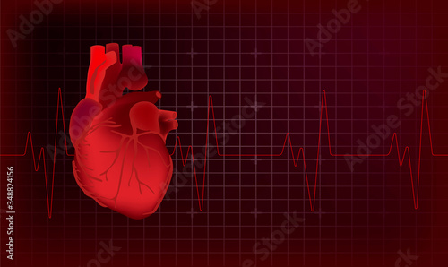 Anatomy of Human Heart. 3d illustration