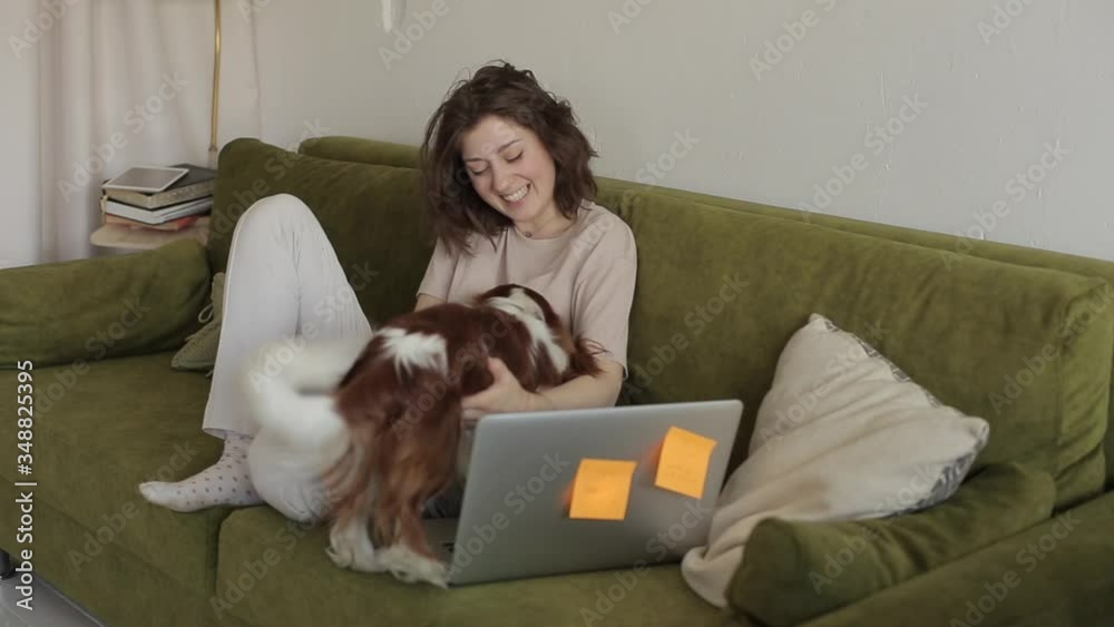 Young freelancer girl working online on a laptop while sitting on a couch and she did a break to hug her beloved spaniel dog. Close-up Young freelancer girl working online on a laptop while sitting on a couch and she did a break to hug her beloved spaniel dog. Close-up