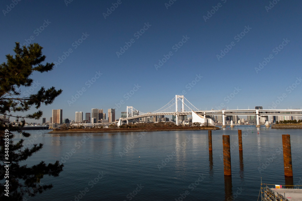 Tokyo skyline and bridge