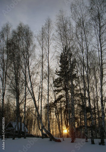 Sunset in Russian snow forest. Landscape with a winter forest, a house among tree trunks and bright sunlight. Sunrise, sunset in a beautiful snow forest