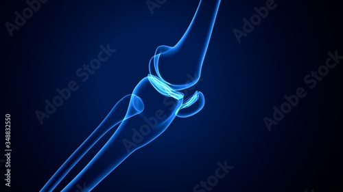 Canvas Print 3d rendered anatomy illustration of a human knee