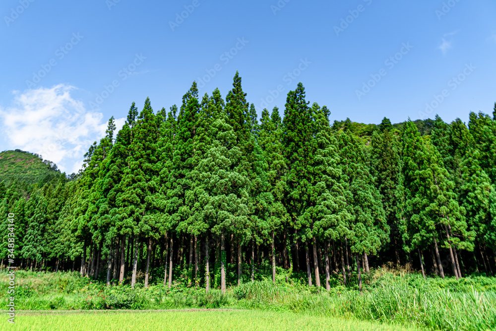 Obraz premium 【ふるさとイメージ】夏の只見駅付近の風景