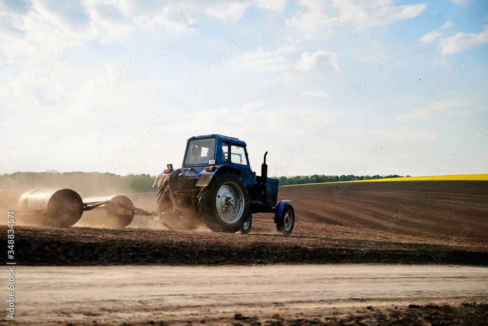 Obraz premium Agricultural work on field with black soil. Blue tractor riding and seeding countryside. Rural works in spring. Environmental protection concept. Ecological products cultivation. Natural background.