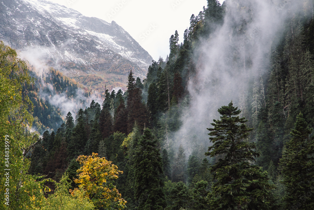 Foggy forest in mountains of Dombay ski resort Foggy forest in mountains of Dombay ski resort