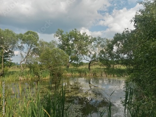 lake reflecting green forest close to the woods in summer season on sunny day with blue sky