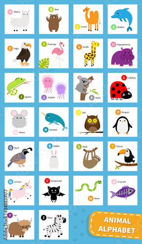 Animal zoo abc alphabet. Cute cartoon set. Baby children education. Alpaca llama bear dolphin camel eagle flamingo giraffe iguana hippopotamus koala sloth unicorn owl penguin bunny. Flat design