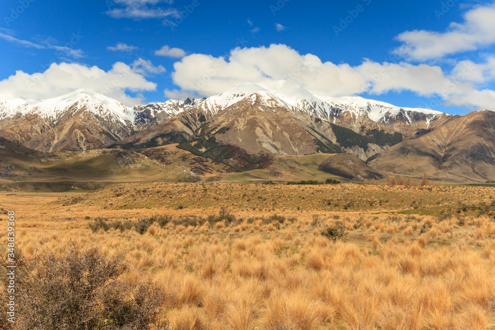 The snow-clad mountains of the Southern Alps, New Zealand.  In the foreground is a field of tussock grasses