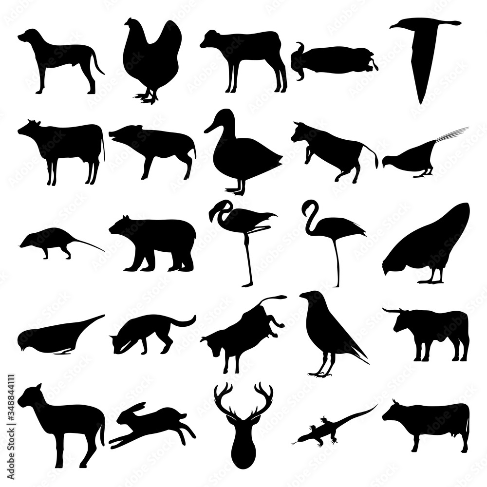 Set of 25 animals. Dalmatian, Calf, Albatross, Pig, Duck, Pheasant, Opossum, Bear, Chicken, Sparrow, Crow, Bull, Little Goat, Rabbit, Deer horns, Komodo, Stock Vector | Adobe Stock