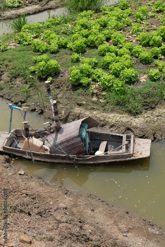 Small wooden boat for watering vegetable plots, farmer wisdom Small wooden boat for watering vegetable plots, farmer wisdom