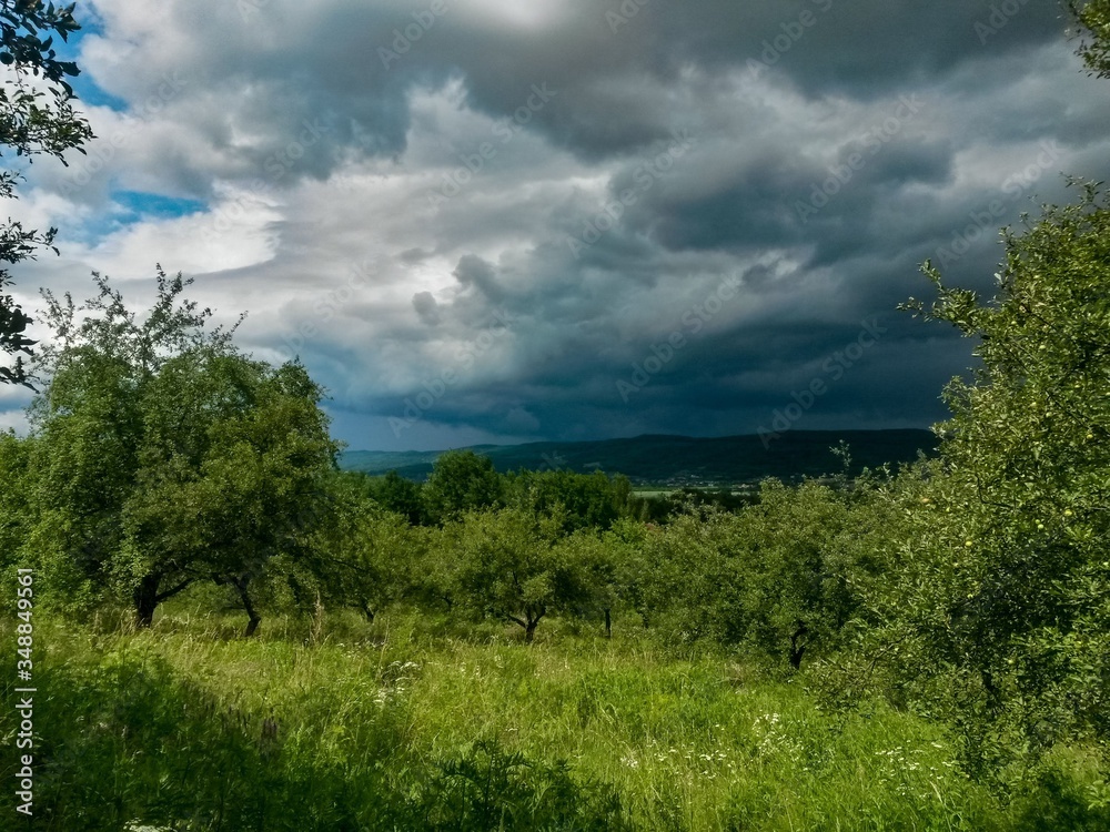 stormy clouds over green forest in summer season