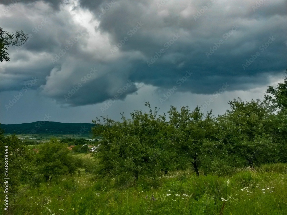 stormy clouds over green forest in summer season